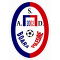 logo BOARA POLESINE